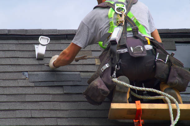 Best New Roof Installation  in Lake Leann, MI