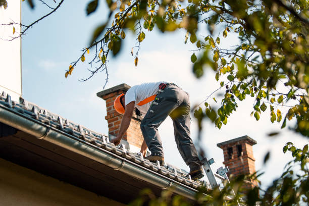 Best New Roof Installation  in Lake Leann, MI