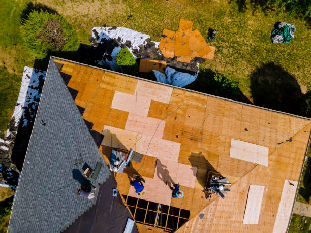 Best Residential Roof Replacement  in Lake Leann, MI