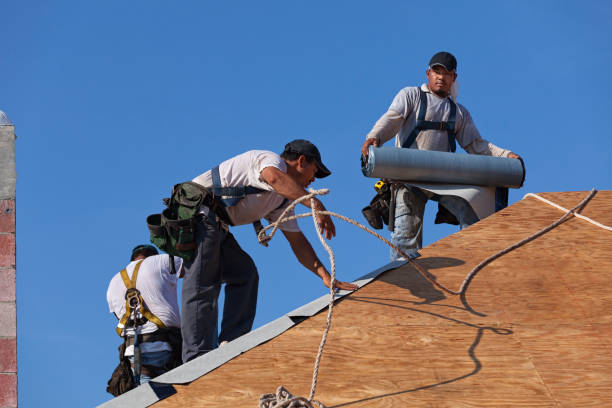 Residential Roof Replacement in Lake Leann, MI