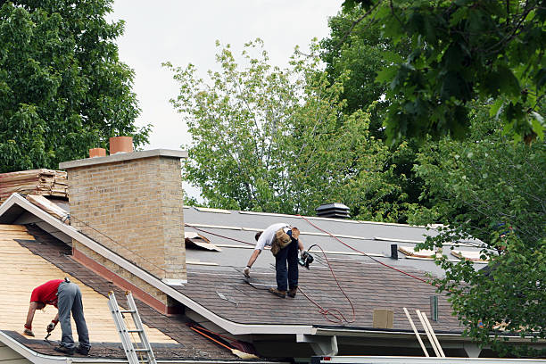 Best Roof Repair Services  in Lake Leann, MI