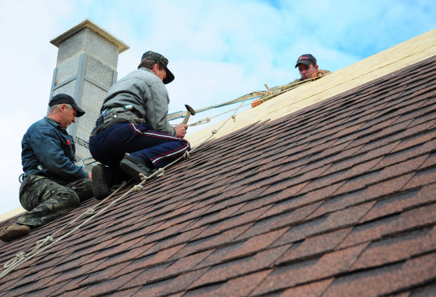 Best Emergency Roof Repair  in Lake Leann, MI