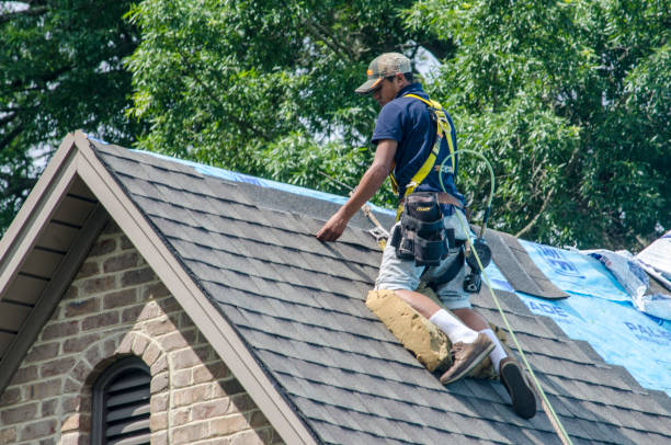 Best Roof Repair Services  in Lake Leann, MI