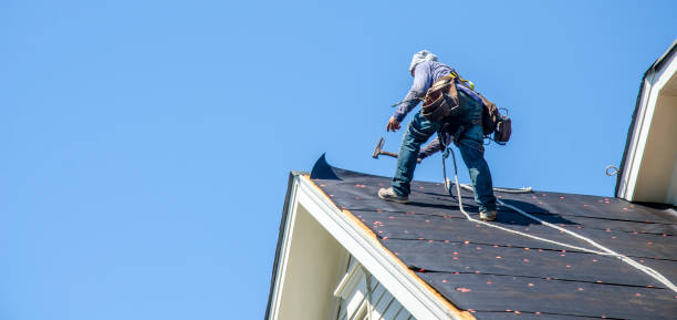 Best Gutter Installation and Roofing  in Lake Leann, MI